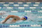 Swimming & Diving vs Babson  Swimming & Diving vs Babson College. - Photo by Keith Nordstrom : Wheaton, Swimming